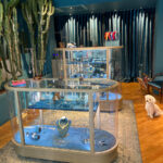 Brera Location n°CR164